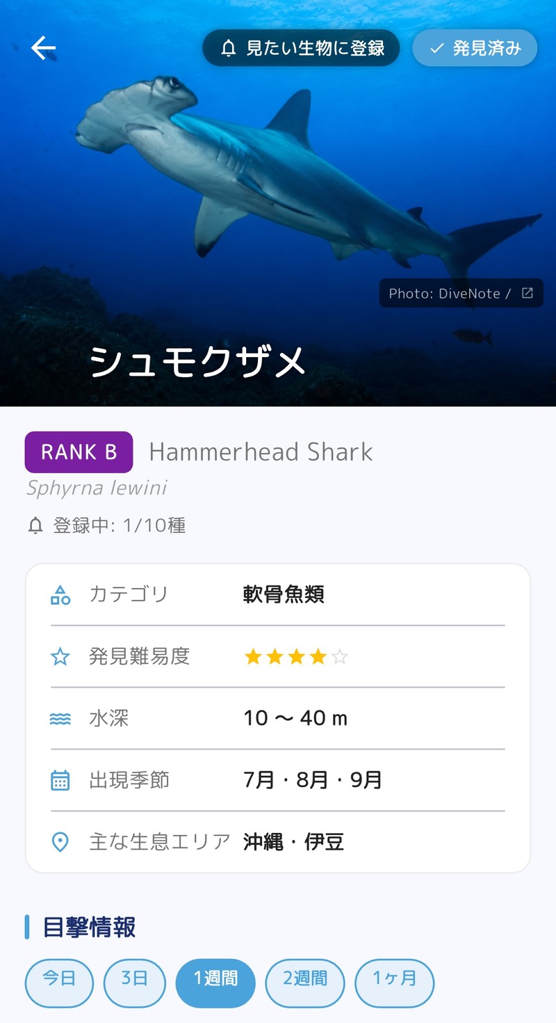 生物図鑑詳細画面（シュモクザメ）